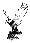 Click to find out more